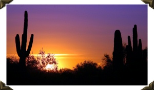 Arizona sunset